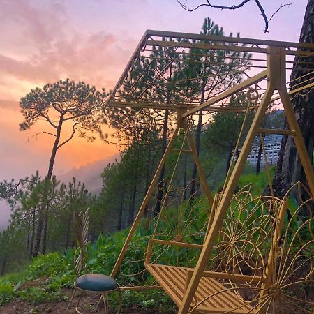 The Westberry 50Mtrs Offroading And 50 Mtrs Nature Path Bed & Breakfast Shimla Dış mekan fotoğraf
